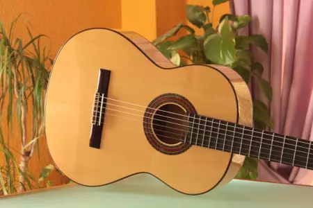 تعمیر گیتار آدمیرا f4